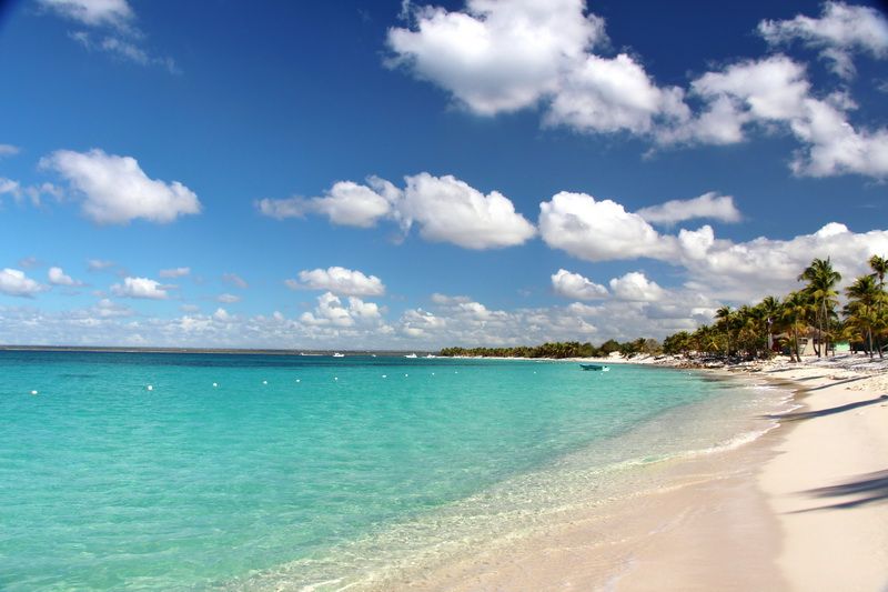 beach on catalina island