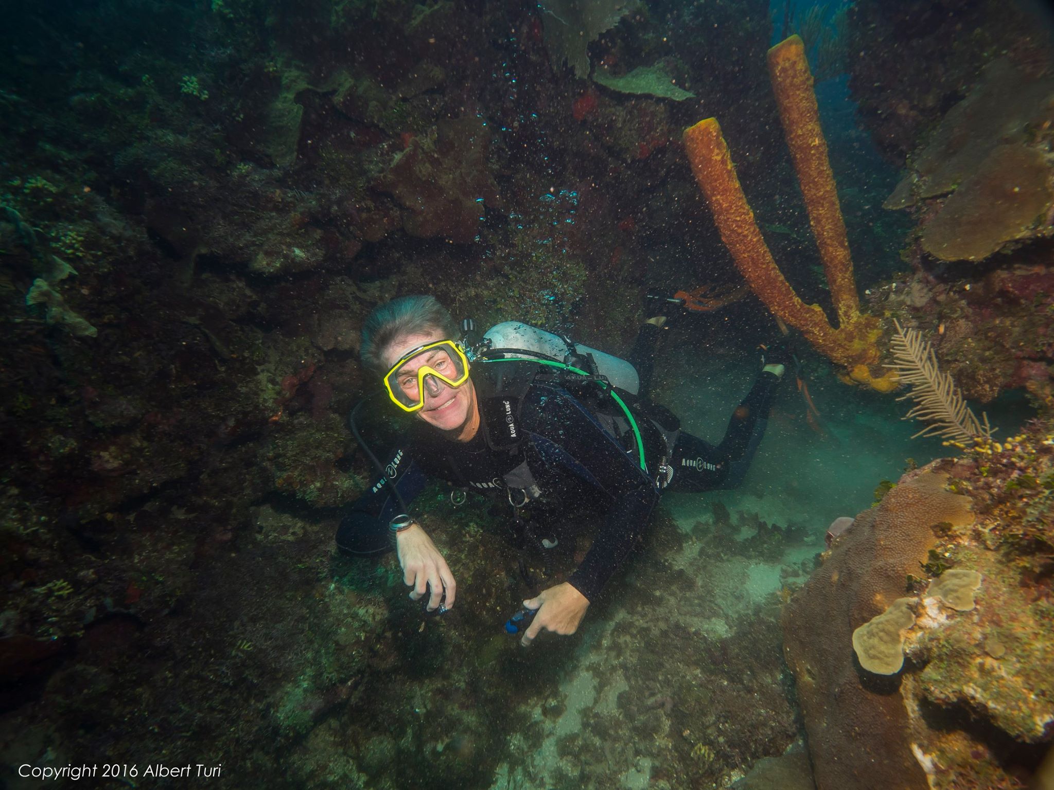 diver among corals and rocks