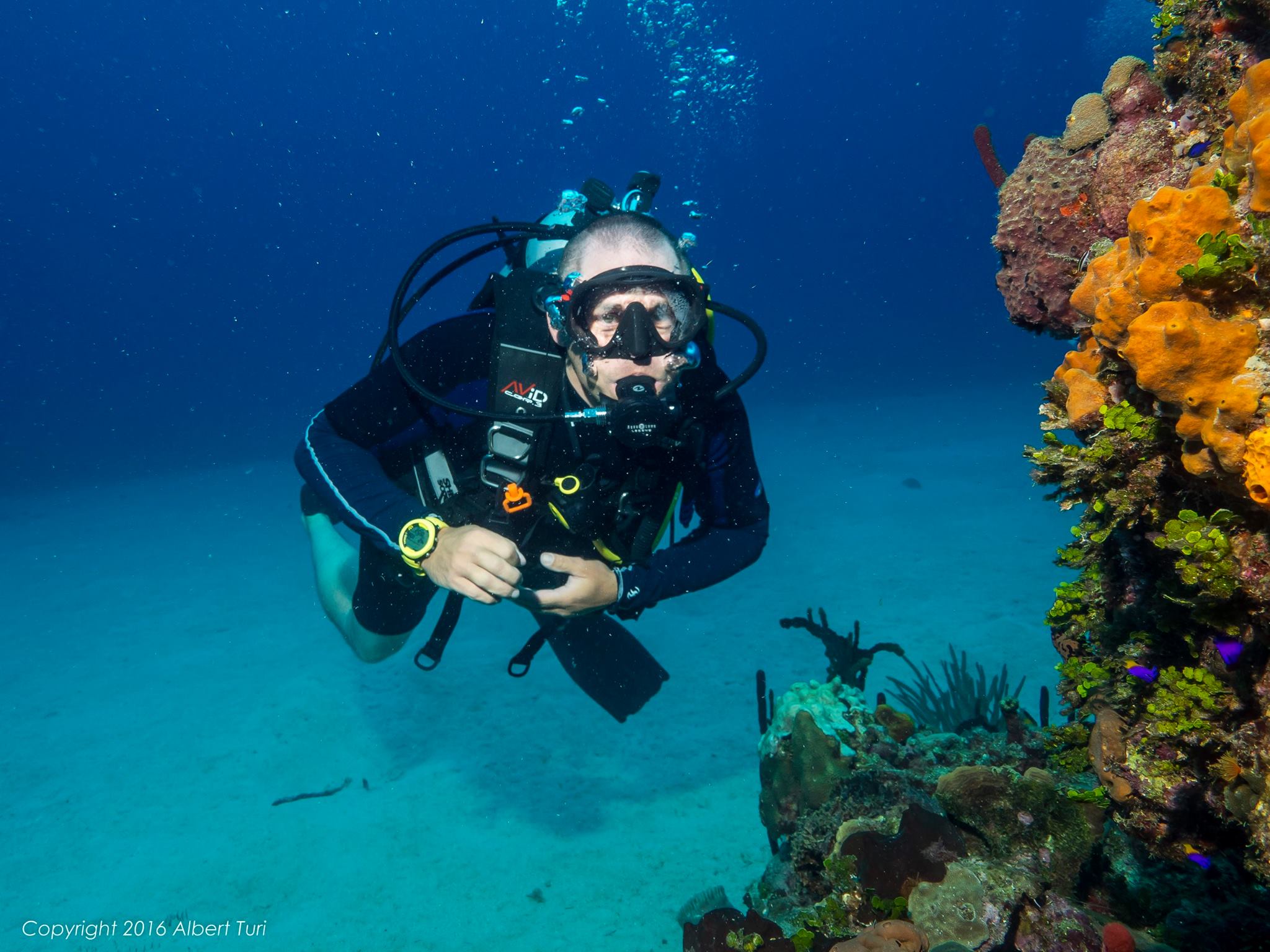 diver exploring reef