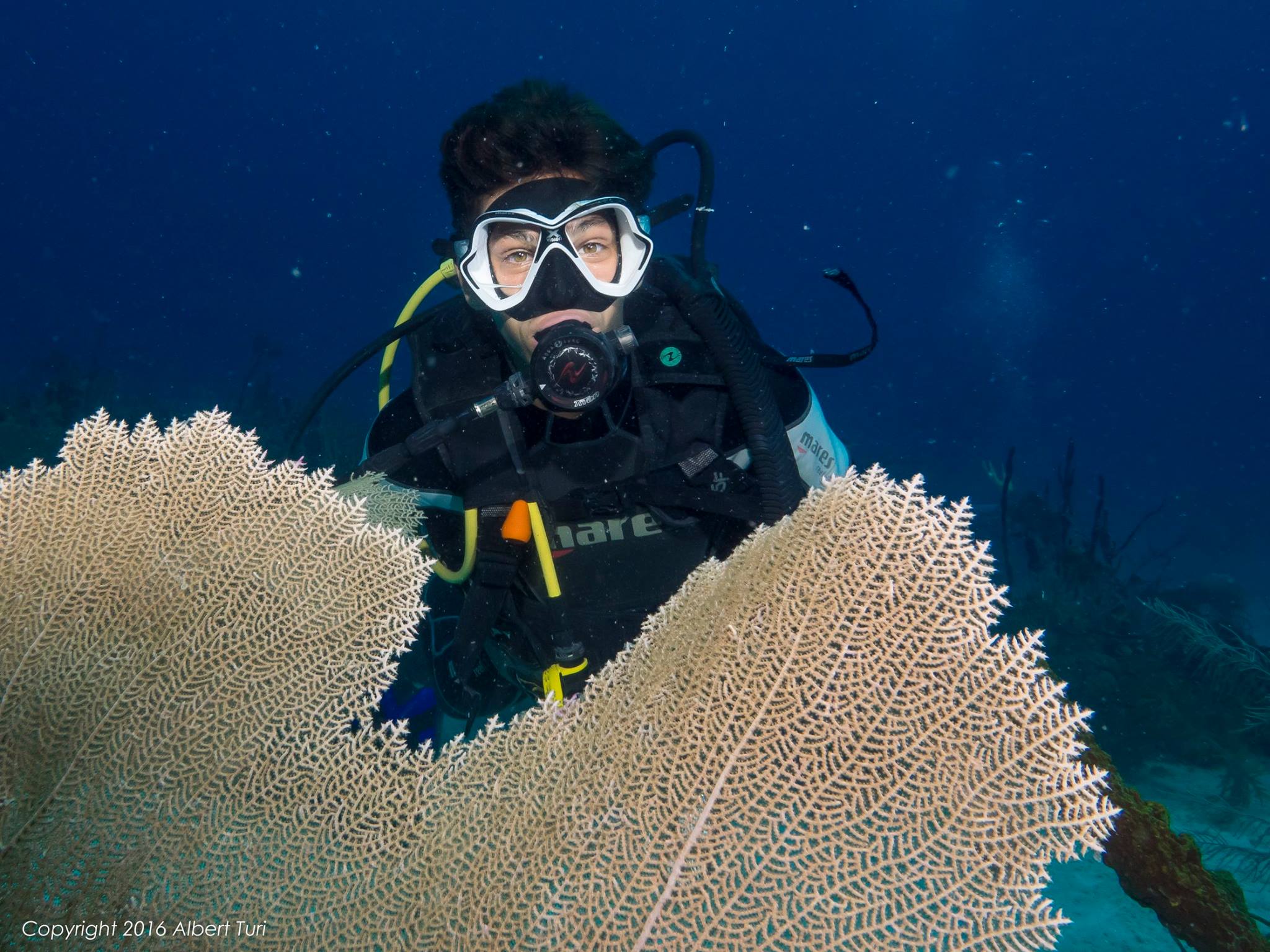 diver and coral