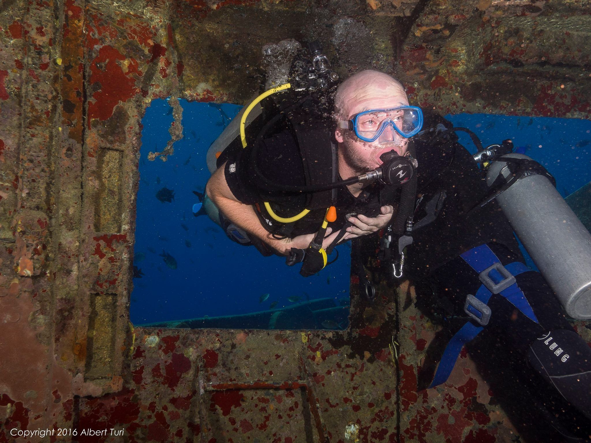 diver on wreck