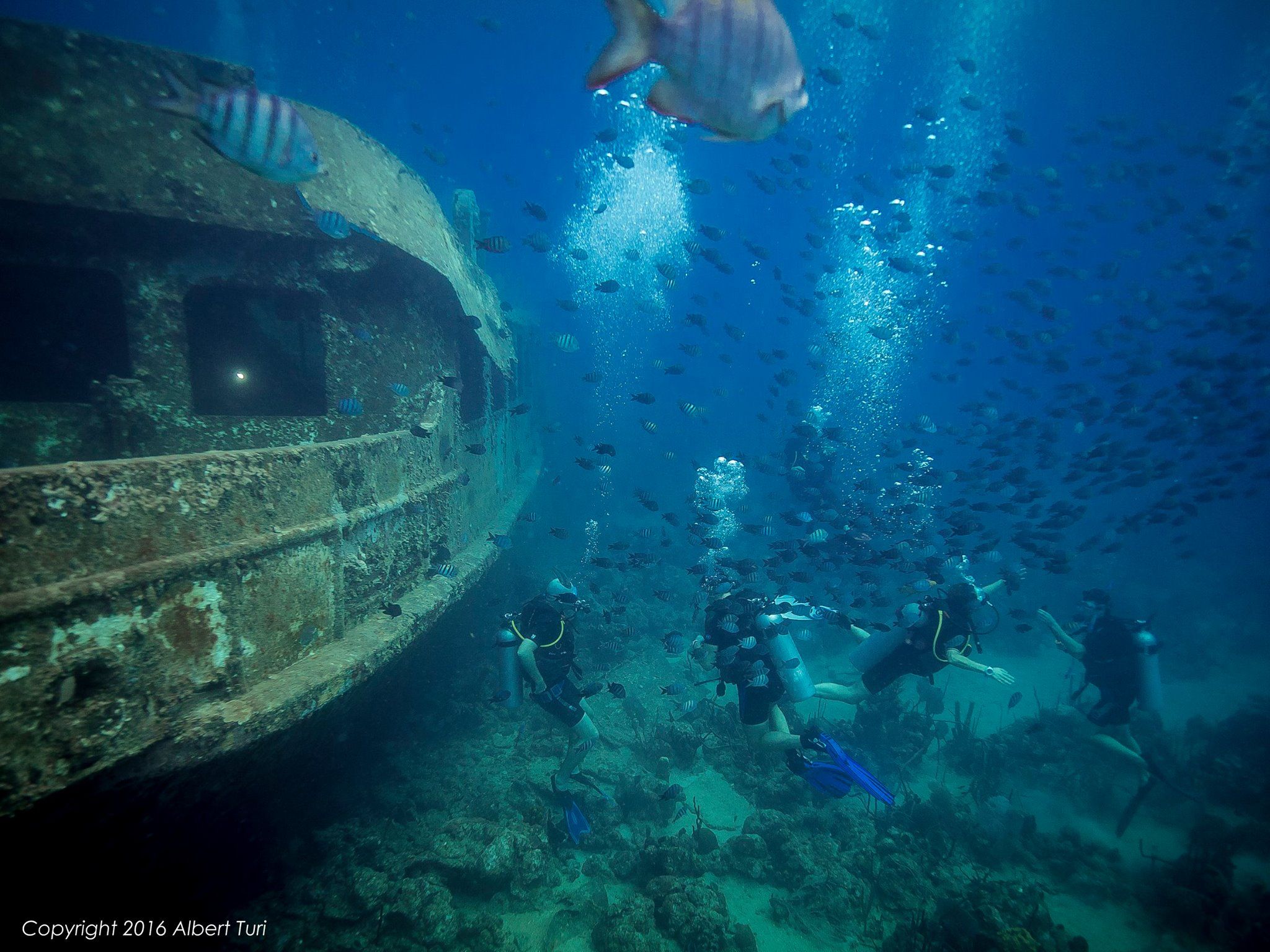 wreck and divers underwater