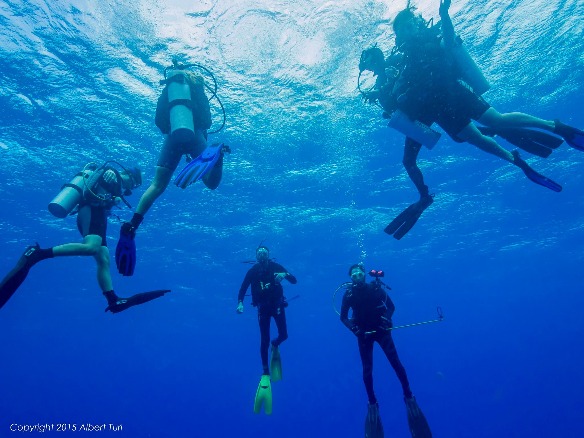 divers emerging