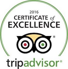 tripadvisor