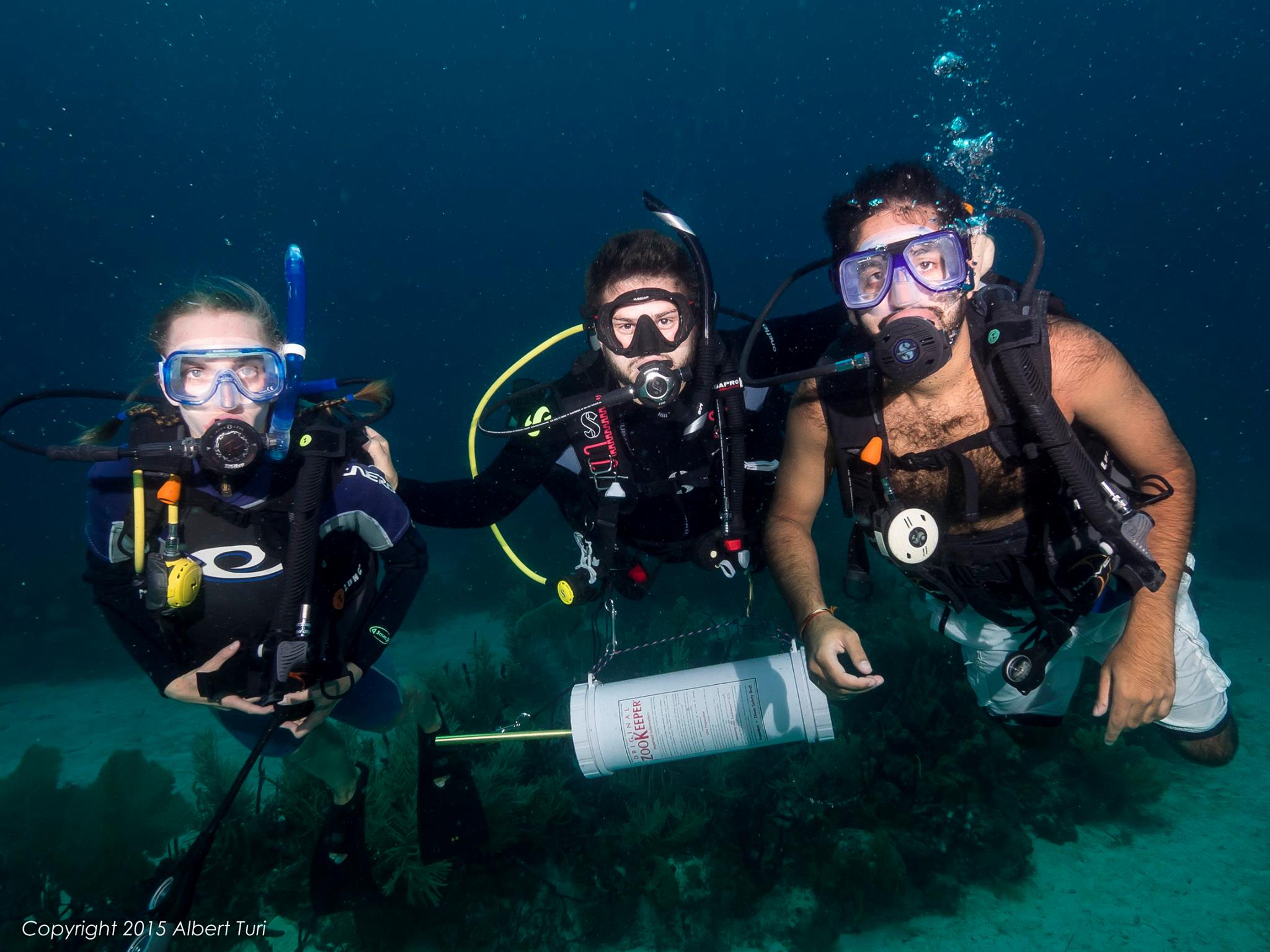 three divers underwater